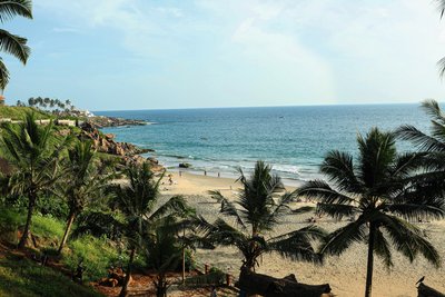 Die Kraft des Meeres am Palmshore spüren