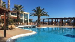 yoga-reisen-portugal-madeira-hotel-galosol-pool Schwimmen unter Palmen im erfrischenden Pool des Hotel Galosol