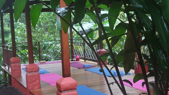 Yoga-Shala im Grünen