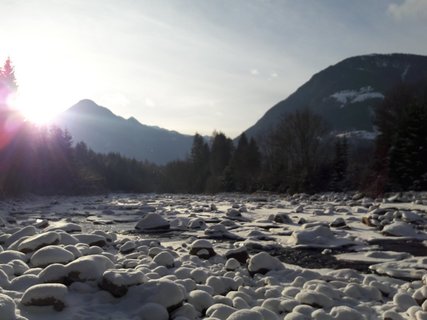 Bei herrlichem Wetter erkundeten wir die Natur