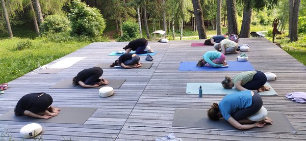 Gemeinsam Yoga üben auf der Yoga-Plattform
