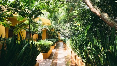 Entdecken Sie die ruhige Eleganz des Resorts