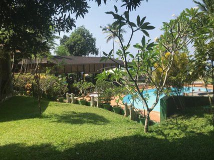 Im Ananda Lakshmi Ayurveda Retreat in Kerala sind Sie umgeben von einem grünen Pflanzenparadies. 