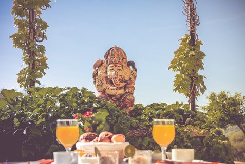 Das Frühstück auf der Finca kann sich sehen lassen: hausgemachte vegetarische Dips, spanischer Käse, frischer Obsalat und vieles mehr...