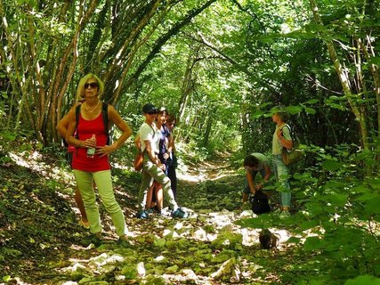 Die Reisegruppe rastet bei einer Wanderung durch die schöne Region