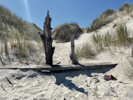Die norddeutsche Küste lädt zum Spaziergang ein.