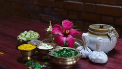 park-am-see-deutschland-nattika-ayurveda-gewuerze Gewürze spielen in der ayurvedischen Medizin eine große Rolle