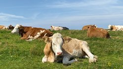 yoga-urlaub-deutschland-seinz-seminarhaus-kuh