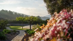 yoga-reisen-spanien-mallorca-finca-son-mola-vell-garten-blumen-weg Schon der Weg zur Yoga-Plattform lässt entspannen