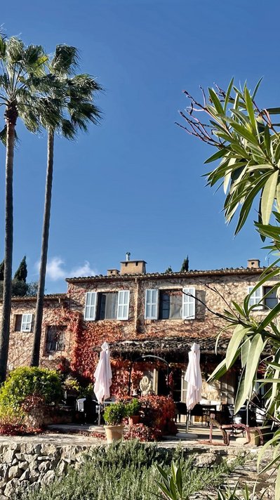 Blick auf das Haus mit rot schimmernden Weinreben