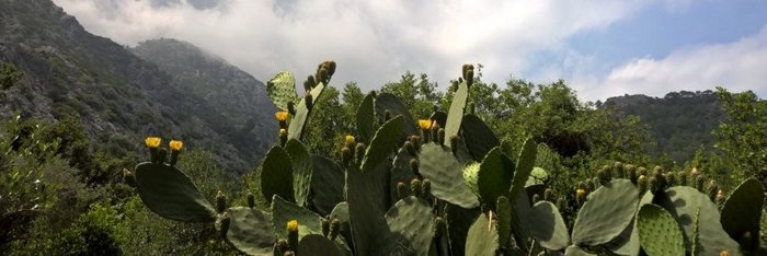 Ausblick aufs Taurus Gebirge, Türkei