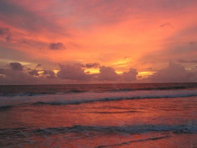 Die Lotus Villa befindet sich am langen Sandstrand von Ahungalla