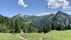 yoga-urlaub-oesterreich-naturhotel-lechlifeberge-wanderweg Wanderungen über grüne Almwiesen