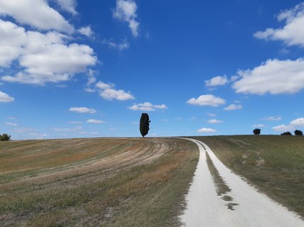 Die weite Landschaft und Natur der Marken