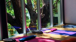 yoga-urlaub-portugal-madeira-hotel-estalagem-yogaraum Panoramablick ins Grüne während der Yogastunde auf Madeira