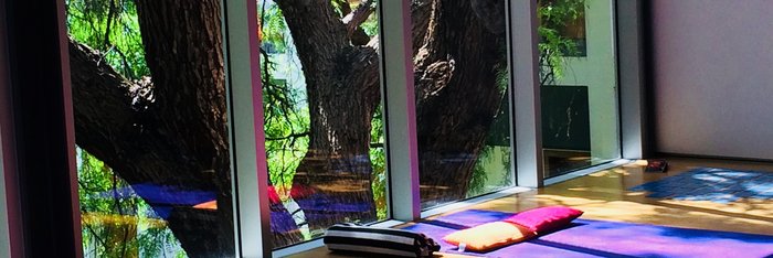 Panoramablick ins Grüne während der Yogastunde auf Madeira