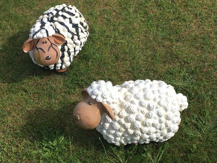 Neben Quallen bevölkern auch diese tierischen Freudne Baltrum.