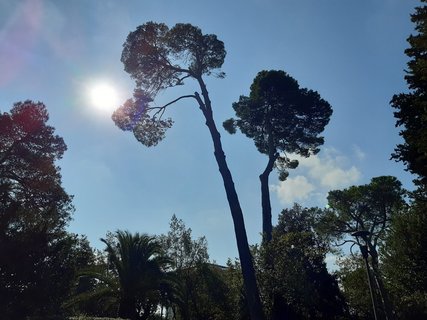 Sonne und Natur genießen in den Marken