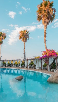 Pool mit Palmen und Blumen