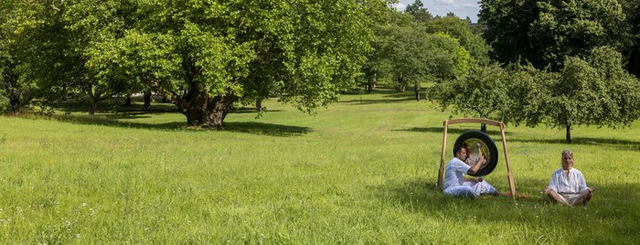 Gong auf der Wiese