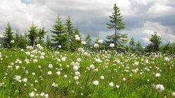 yoga-urlaub-deutschland-allgäu-bio-berghotel-ifenblick-ausflug Sommer im Allgäu