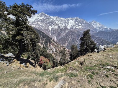 Trekking durch das Himalaya