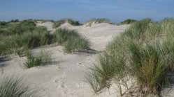 yoga-reisen-deutschland-nordsee-baltrum-naturhotel-baltrum-strand Nur 5 Gehminuten liegen zwischem dem Naturhotel Baltrum und dem lange weißen Sandstrand