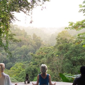 Menschen meditieren mit Blick auf den Regenwald