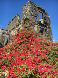 Auf der Blumeninsel Madeira gibt es romantische Ruinen zu entdecken
