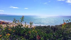 yoga-reisen-italien-toskana-resort-roccamare-kueste-meer Erleben Sie die malerische Toskana im Hotel Roccamare.