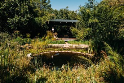 Durch den Garten schlendern im Phakalane Retreat