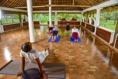 Kräftigenden und dehnenden Asanas mit Atemübungen und Meditation