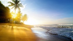 sri-lanka-strand-sonne Spazieren Sie am Strand auf Sri Lanka entlang von Palmen und rauschenden Wellen