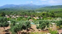Olympos-Mitos_Nina_Juni11_Blick-von-neuer-Yogahalle2_bea.jpg Olympos Mitos - Blick von der neuen Yogahalle