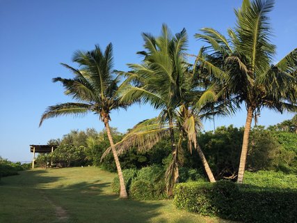 Viel Ruhe und Freiraum bietet der große Garten des Oasis Ayurveda Resort