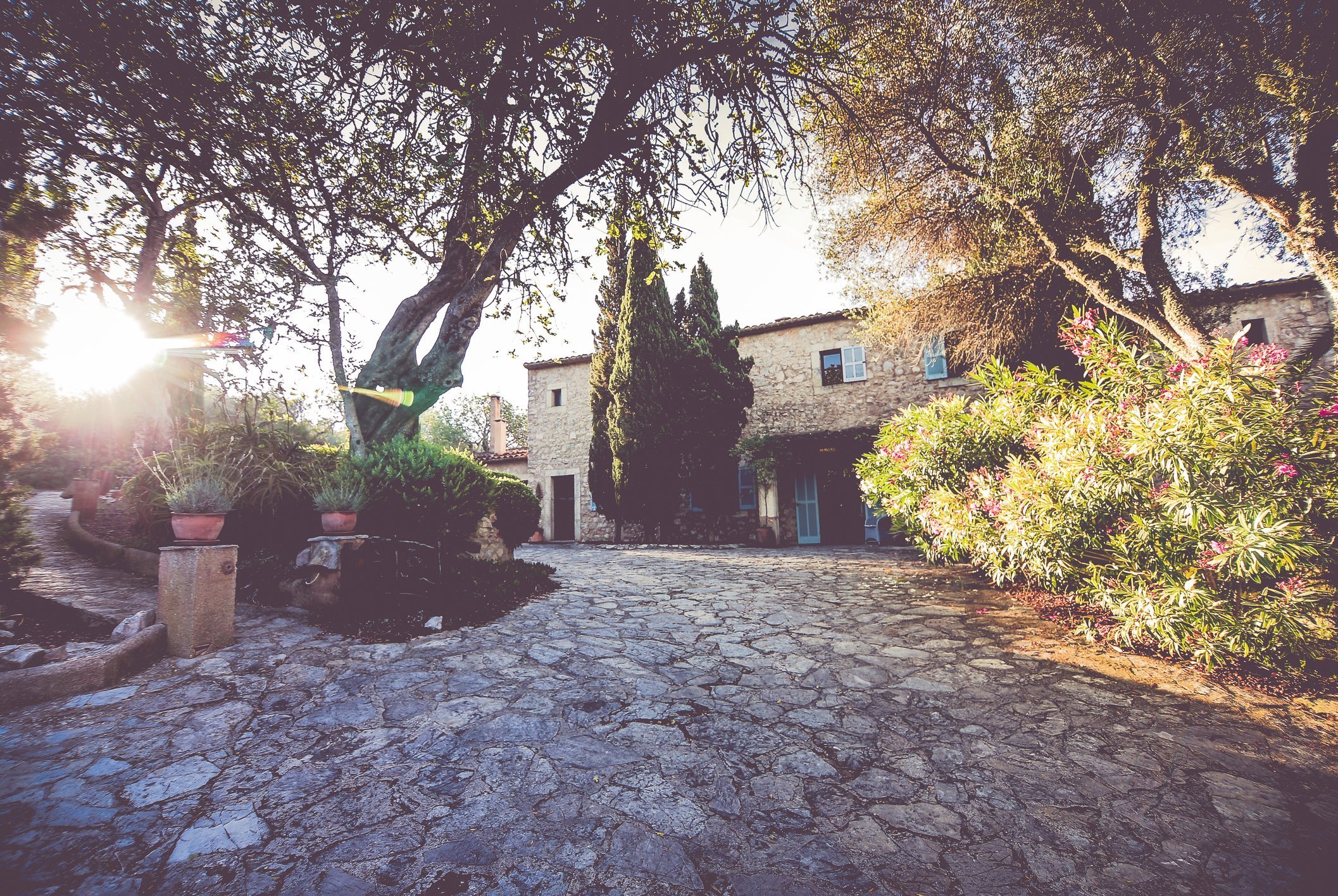 yoga-reisen-spanien-mallorca-finca-son-mola-vell-einfahrt Treten Sie ein in die Finca Son Mola Vell und genießen Sie eine Woche voller Yoga