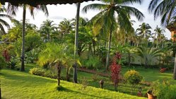ayurveda-kuren-reisen-indien-meiveda-beach-resort-anlage Das Meiveda Ayurveda Resort liegt inmitten eines tropischen Gartens