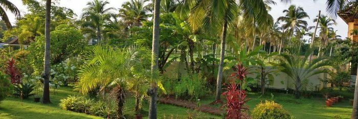 Das Meiveda Ayurveda Resort liegt inmitten eines tropischen Gartens