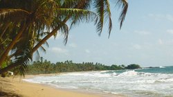 ayurveda-kuren-reisen-urlaub-sri-lanka-ceylon-induruwa-safira-beach-residence-strand-meer Entspannung am langen weißen Sandstrand mit grünen Palmen vor der Safira Beach Residence