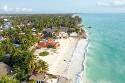 Unter Palmen entspannen