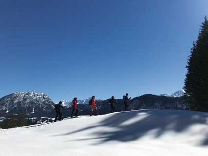 Genießen Sie während Ihres Urlaubs das Panorma in den Bergen Österreichs 