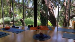 Yoga üben im hellen Yogaraum