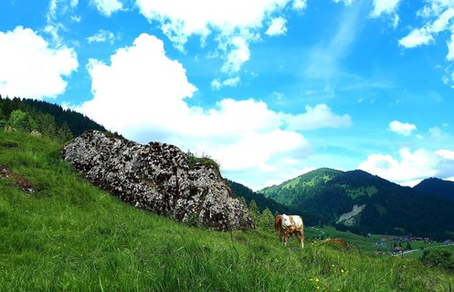 Genießen Sie das wunderschöne Alpenpanorama.