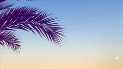 yoga-urlaub-portugal-estalagem-natur-palme Jeden Abend können Sie dieses Sonnenspiel genießem