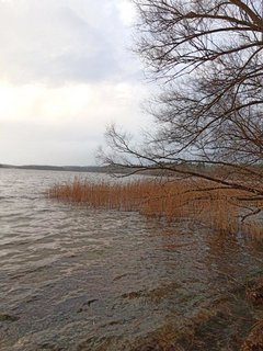 Blick auf den Tollensesee