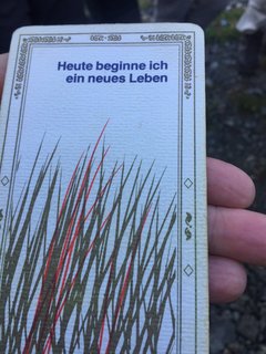 Die letzte Tageskarte auf der Genusswanderung sagt "Heute beginne ich ein neues Leben" 
