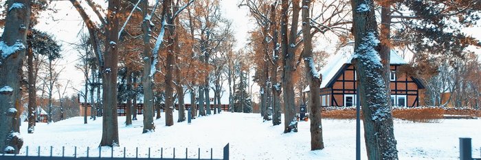 Winter im Hotel Park am See