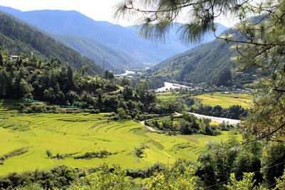 Auf einem kleinen Hügel in Punakha steht der dreistöckige Tempel Khamsum Yulley Namgyal