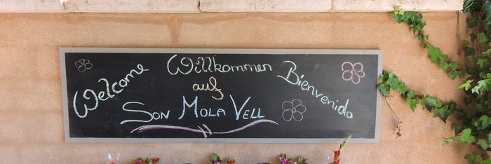 Das Team der Yoga Finca Son Mola Vell heißt Sie herzlich Willkommen