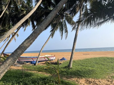 Das Resort besticht durch seine direkte Strandlage